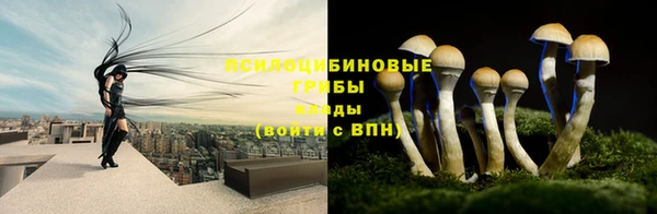 первитин Лабытнанги