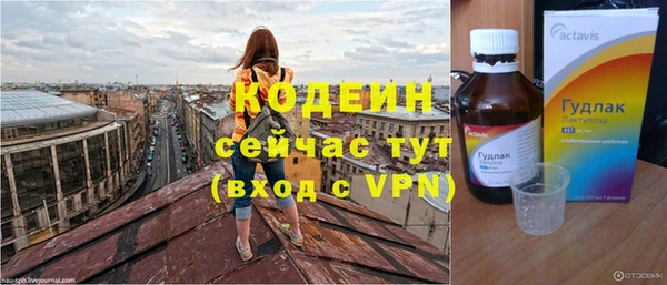 сатива Магас