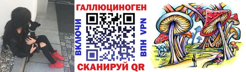 как найти закладки Кяхта Псилоцибиновые грибы Magic Shrooms